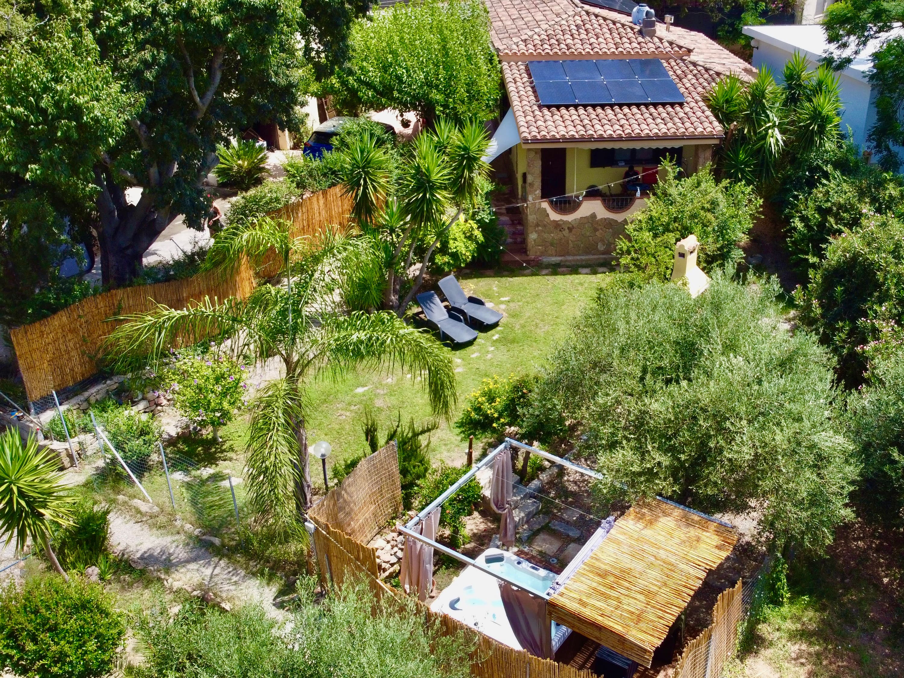 The garden